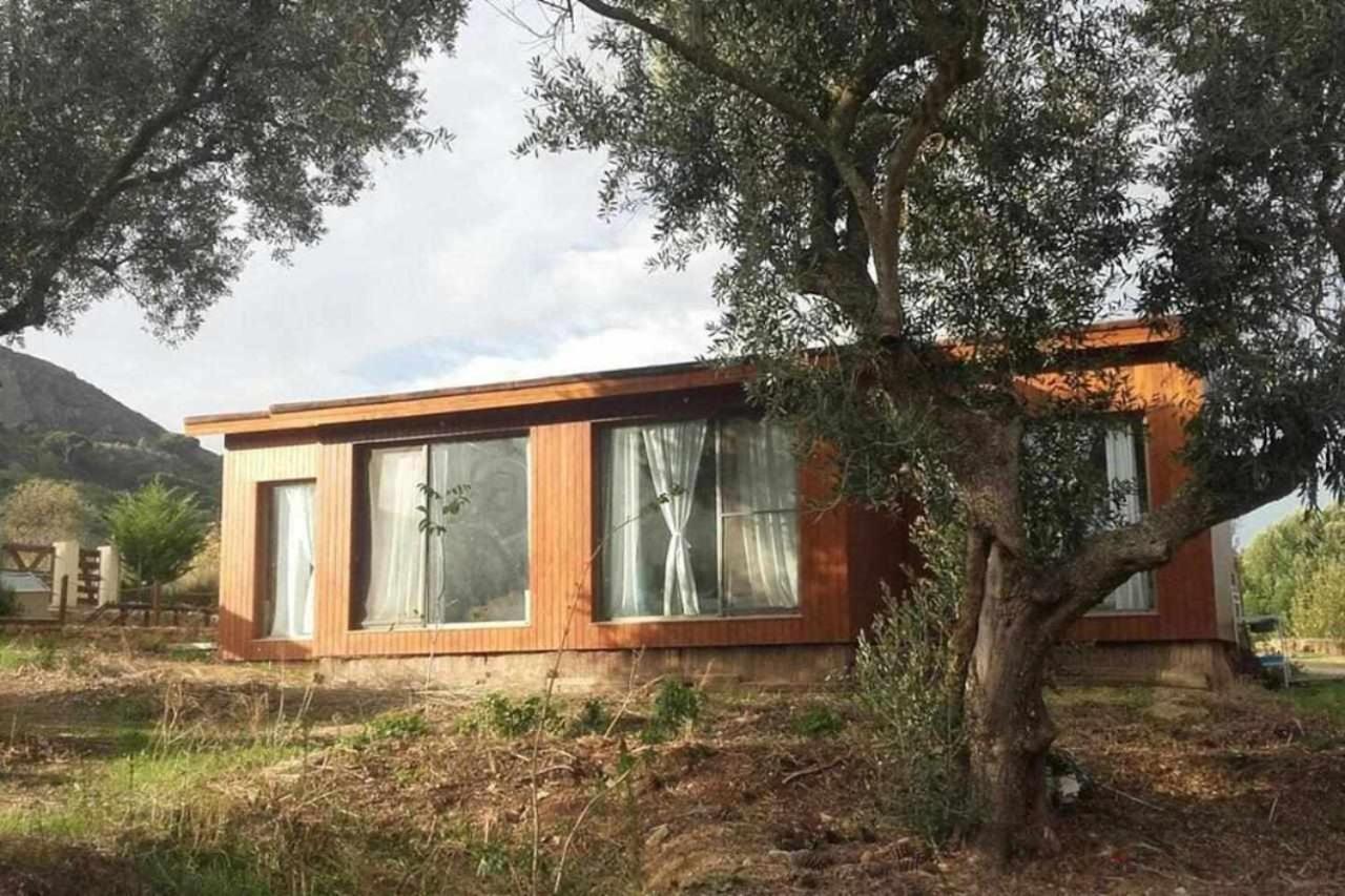 Biovilla Sustentabilidade Palmela Kültér fotó