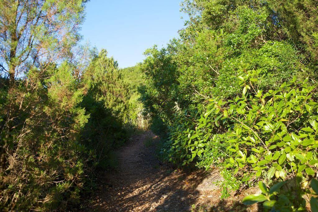 Biovilla Sustentabilidade Palmela Kültér fotó